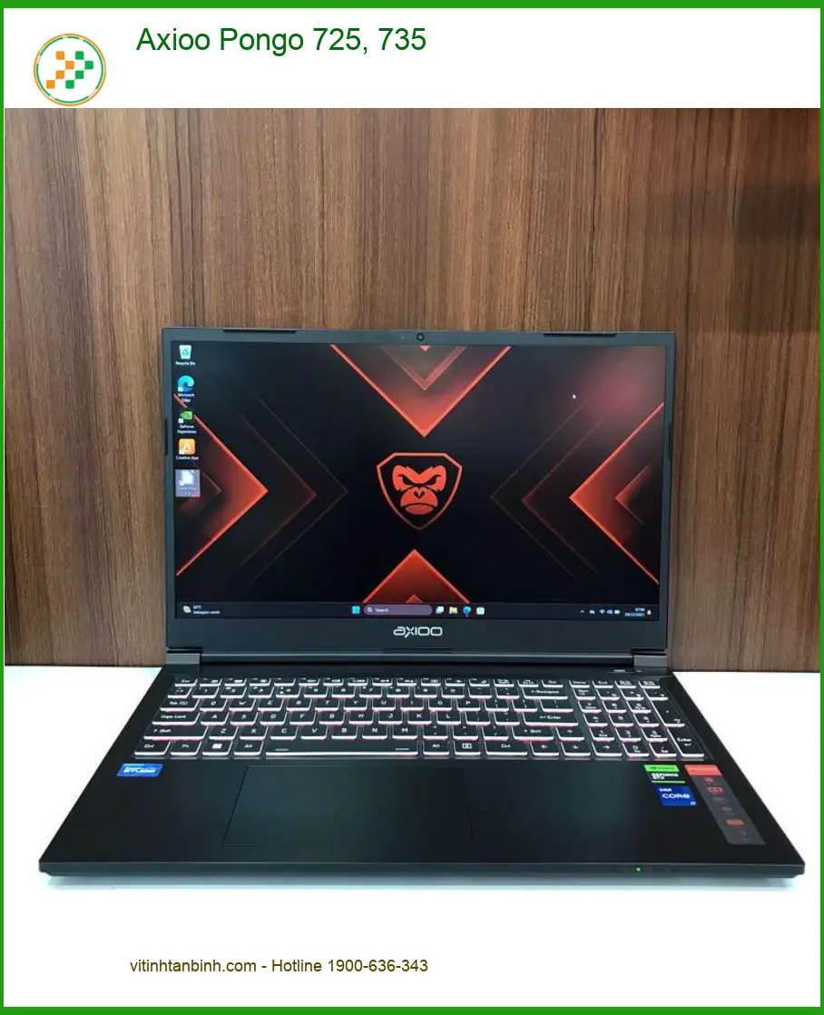 Loa Laptop Axioo Pongo 725 735 - Thay Nhanh, Giá Rẻ Tại Tân Bình