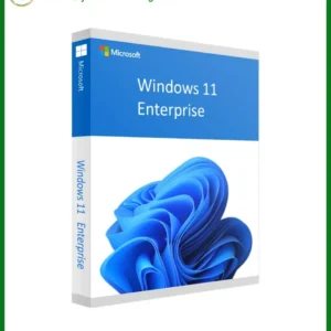 Windows 11 Enterprise E5 Chính Hãng - Cài Đặt Nhanh Tận Nơi TPHCM