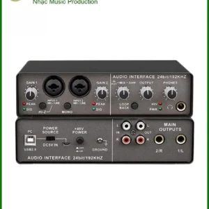 Soundcard Thu Âm Chuyên Nghiệp USB Audio Interface PC - Đại Lý Chính Hãng TPHCM Giá Rẻ